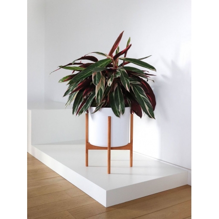 Skyltfönsterpodium, vit matt, 45 x 45 x 10 cm