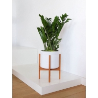 Skyltfönsterpodium, vit matt, 40 x 60 x 10 cm