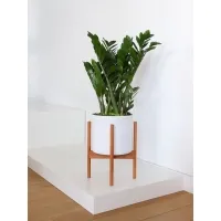Skyltfönsterpodium, vit matt, 40 x 60 x 10 cm