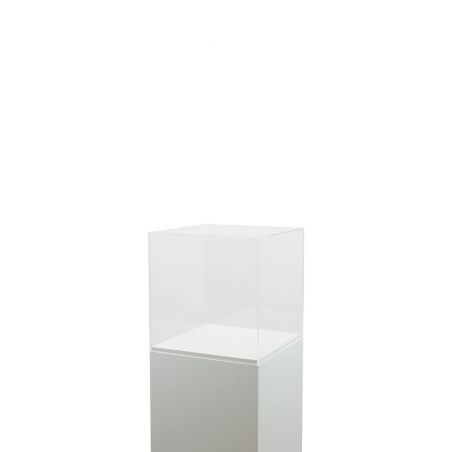 Plexiglas beschermkap | plexiglas stolp | maquettekap op maat