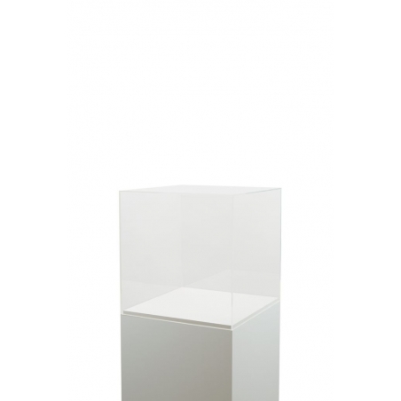 Plexiglas beschermkap | plexiglas stolp | maquettekap op maat