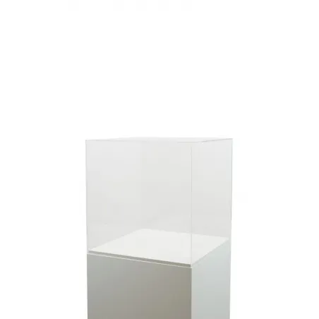 Plexiglas beschermkap | plexiglas stolp | maquettekap op maat