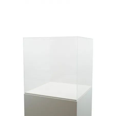 Plexiglas beschermkap | plexiglas stolp | maquettekap op maat