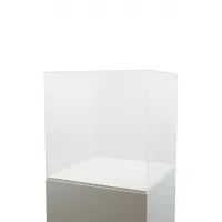 Plexiglas beschermkap | plexiglas stolp | maquettekap op maat