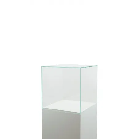 Skyddsmonter av glas