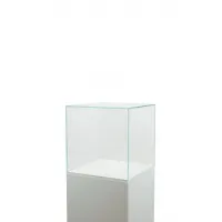 Skyddsmonter av glas