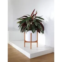 Skyltfönsterpiedestal, svart 80 x 80 x 10 cm