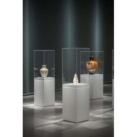 Plexiglas beschermkap | plexiglas stolp | maquettekap op maat