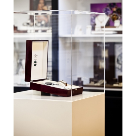 Plexiglas beschermkap | plexiglas stolp | maquettekap op maat