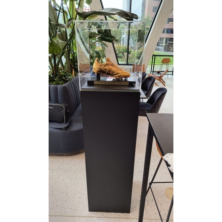 Plexiglas beschermkap | plexiglas stolp | maquettekap op maat