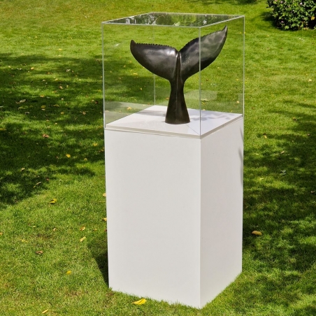 Plexiglas beschermkap | plexiglas stolp | maquettekap op maat