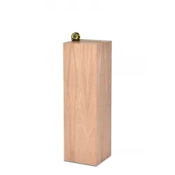 Sokkel eiken hol