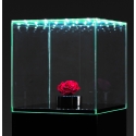 Skyddsmonter av glas med integrerad led-belysning, 30 x 30 x 30 cm