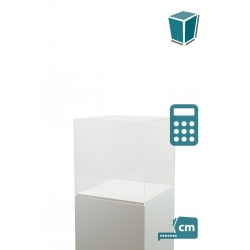 Plexiglas beschermkap | plexiglas stolp | maquettekap op maat