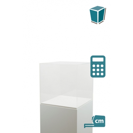 Plexiglas beschermkap | plexiglas stolp | maquettekap op maat