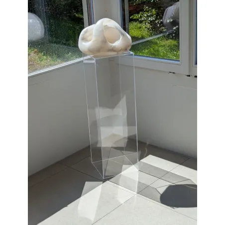 Plexiglas sokkels | zuilen  van plexiglas | ook op maat in kleur
