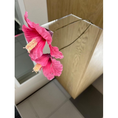 Spegelpiedestal plexiglas