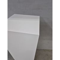 copy of Plexiglas Beschermkap 46 x 46 x 45,5 cm- SALE