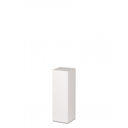 copy of Plexiglas Beschermkap 46 x 46 x 45,5 cm- SALE