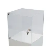 Plexiglas beschermkap | plexiglas stolp | maquettekap op maat