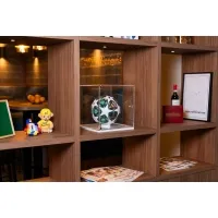 Plexiglas beschermkap | plexiglas stolp | maquettekap op maat