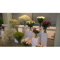 Vitrine LED-verlichting & Sokkel Accessoires
