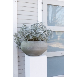 Solits podium vit-utomhus