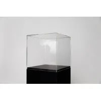 Plexiglas beschermkap | plexiglas stolp | maquettekap op maat