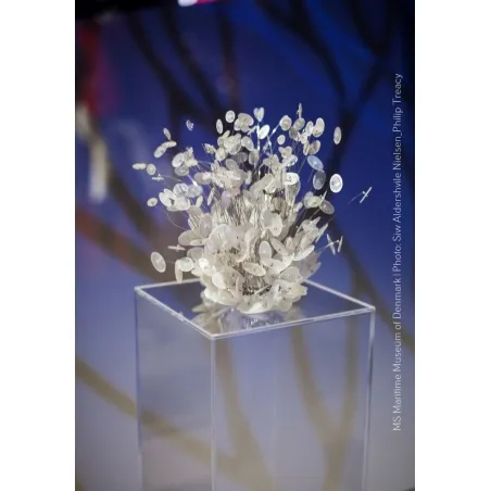 Plexiglas sokkels | zuilen  van plexiglas | ook op maat in kleur