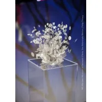 Plexiglas sokkels | zuilen  van plexiglas | ook op maat in kleur