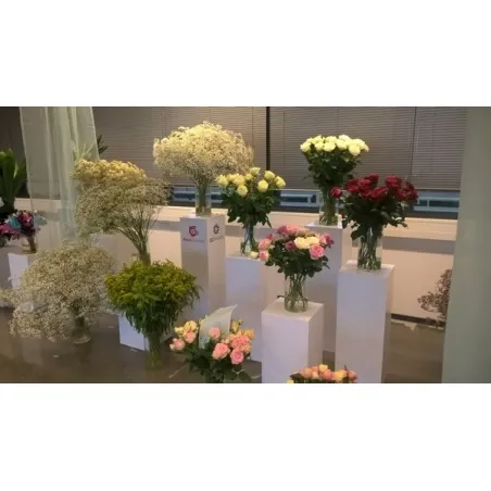 LED-Belysning & Accessoarer