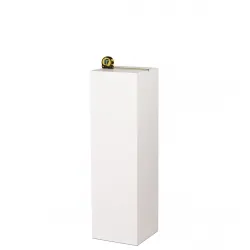 Solits podium vit